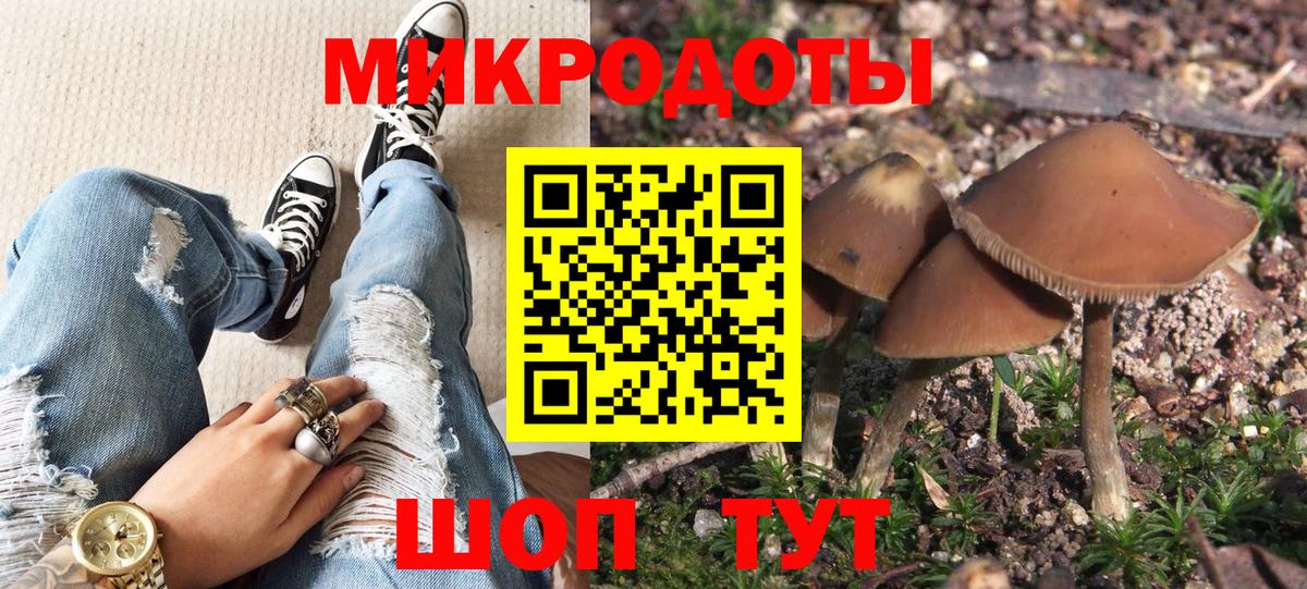 Галлюциногенные грибы прущие грибы Среднеуральск
